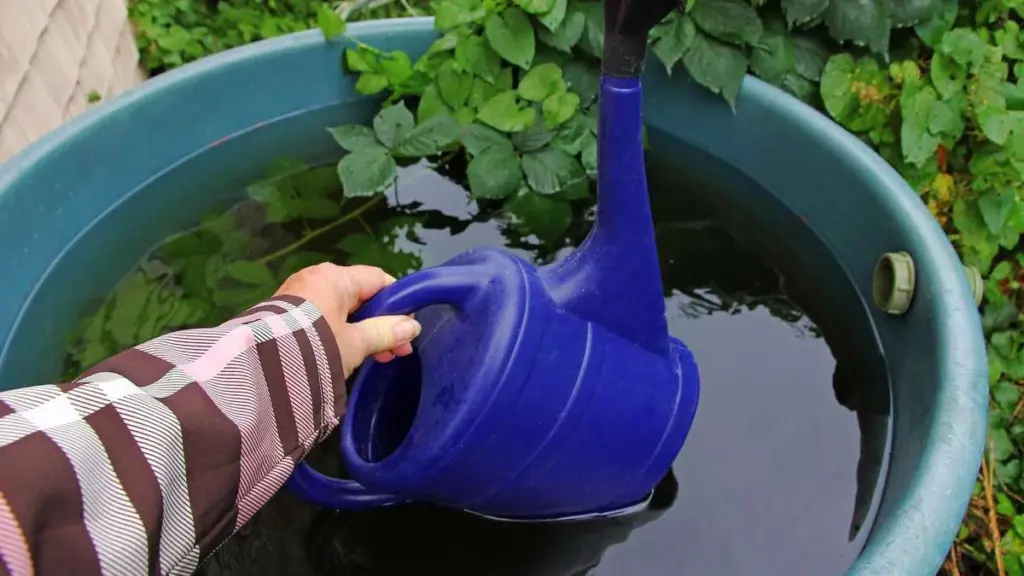 Regenwasser clever sammeln: 5 typische Fehler vermeiden